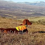Camping Snohetta Hjerkinn
