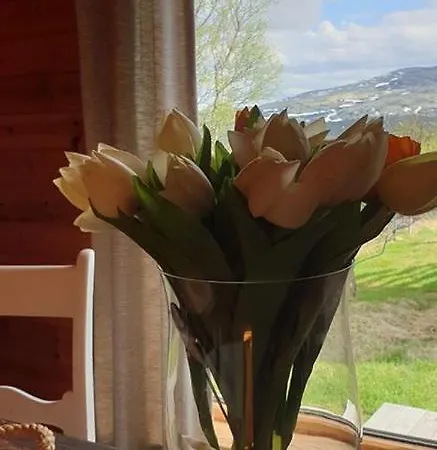 Snøhetta Campingplasser *