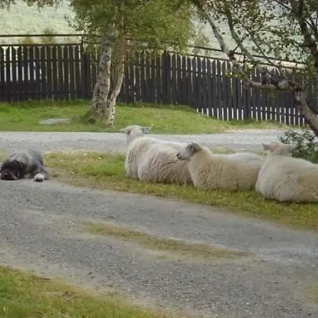 Snøhetta * Hjerkinn