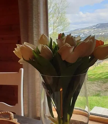 Snohetta 캠프장 *